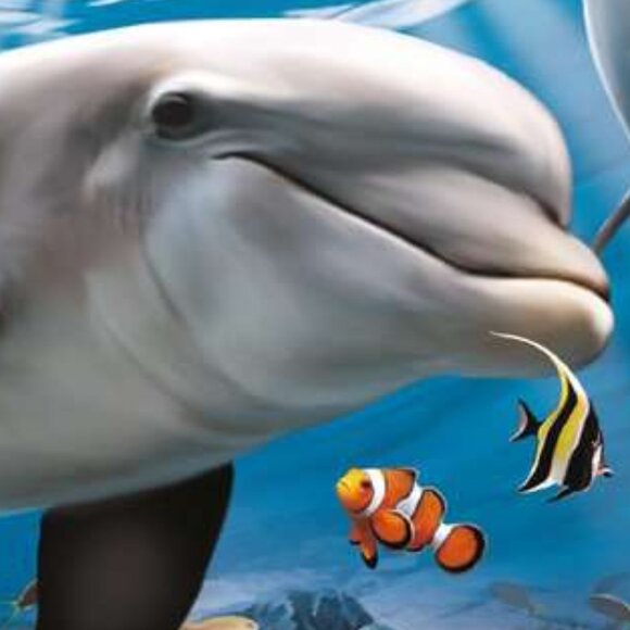 New sealed Ravensburger- 60 Piece Puzzle - Caribbeans Smiley Dophins - Picture 5 of 16